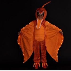 Pottery Barn Kids Halloween Light-Up Pterodactyl Halloween Costume